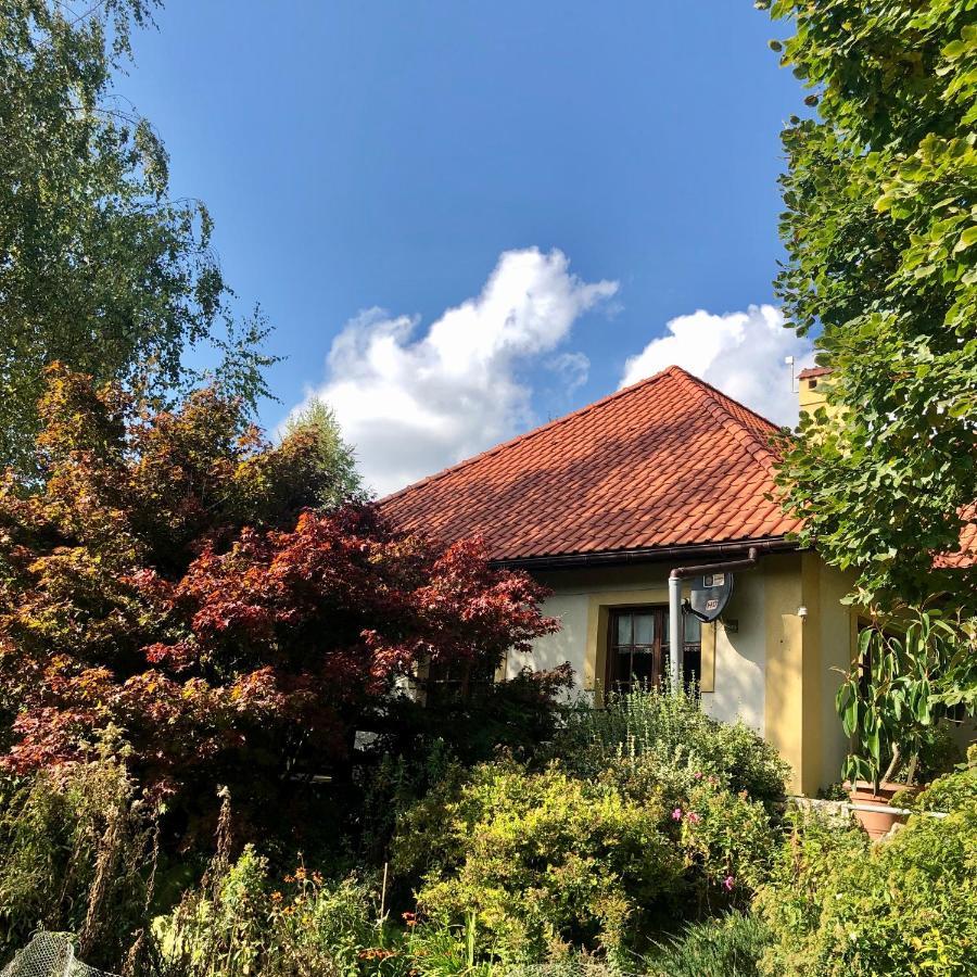 Modryna Ranczo Bed & Breakfast Krasiczyn Exterior photo